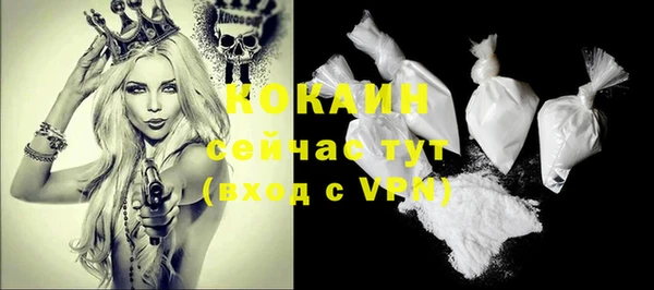 spice Богородицк