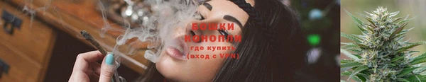 spice Богородицк