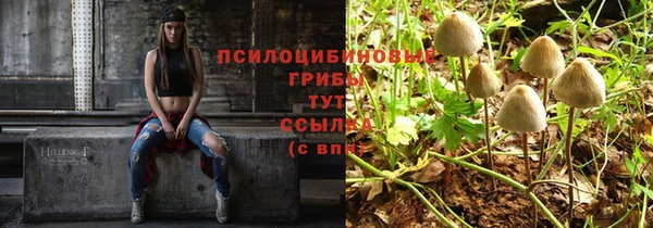 МДПВ Богородск