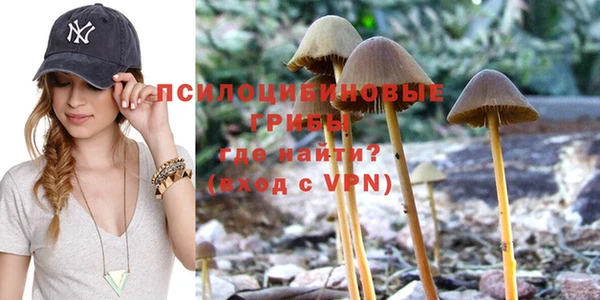дживик Богданович