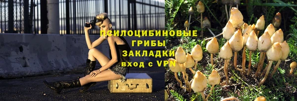 spice Богородицк