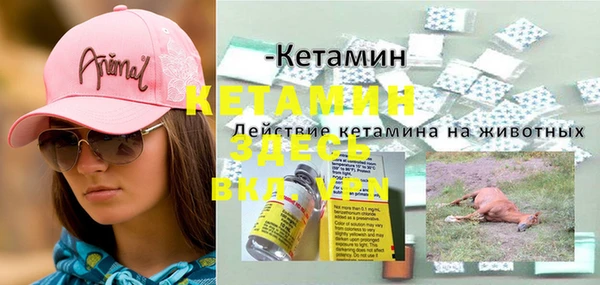 дживик Богданович