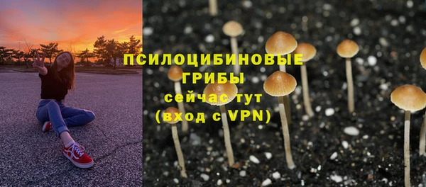 марки lsd Бородино