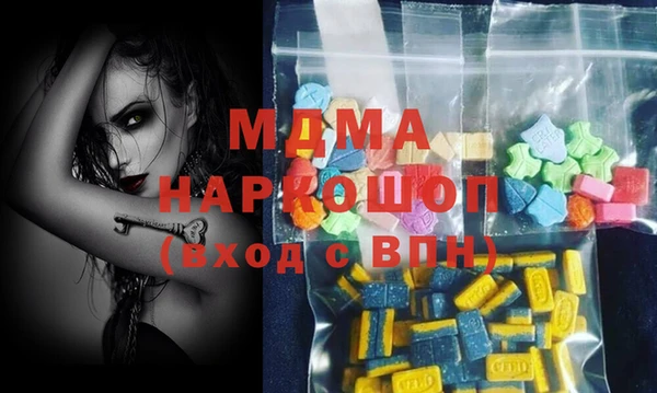 spice Богородицк