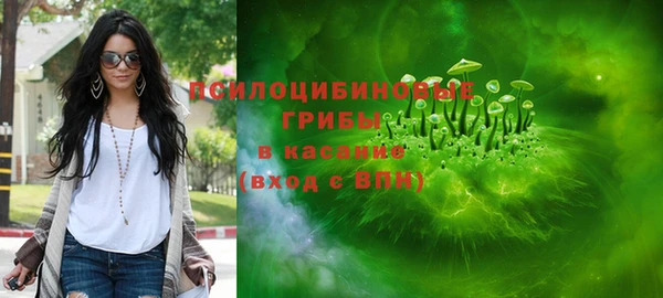 марки lsd Бородино