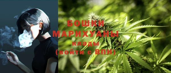 МДПВ Богородск